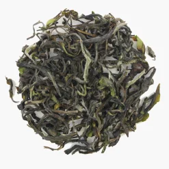 Hamburger Teespeicher Darjeeling No.1 - 2025, Bio Discount