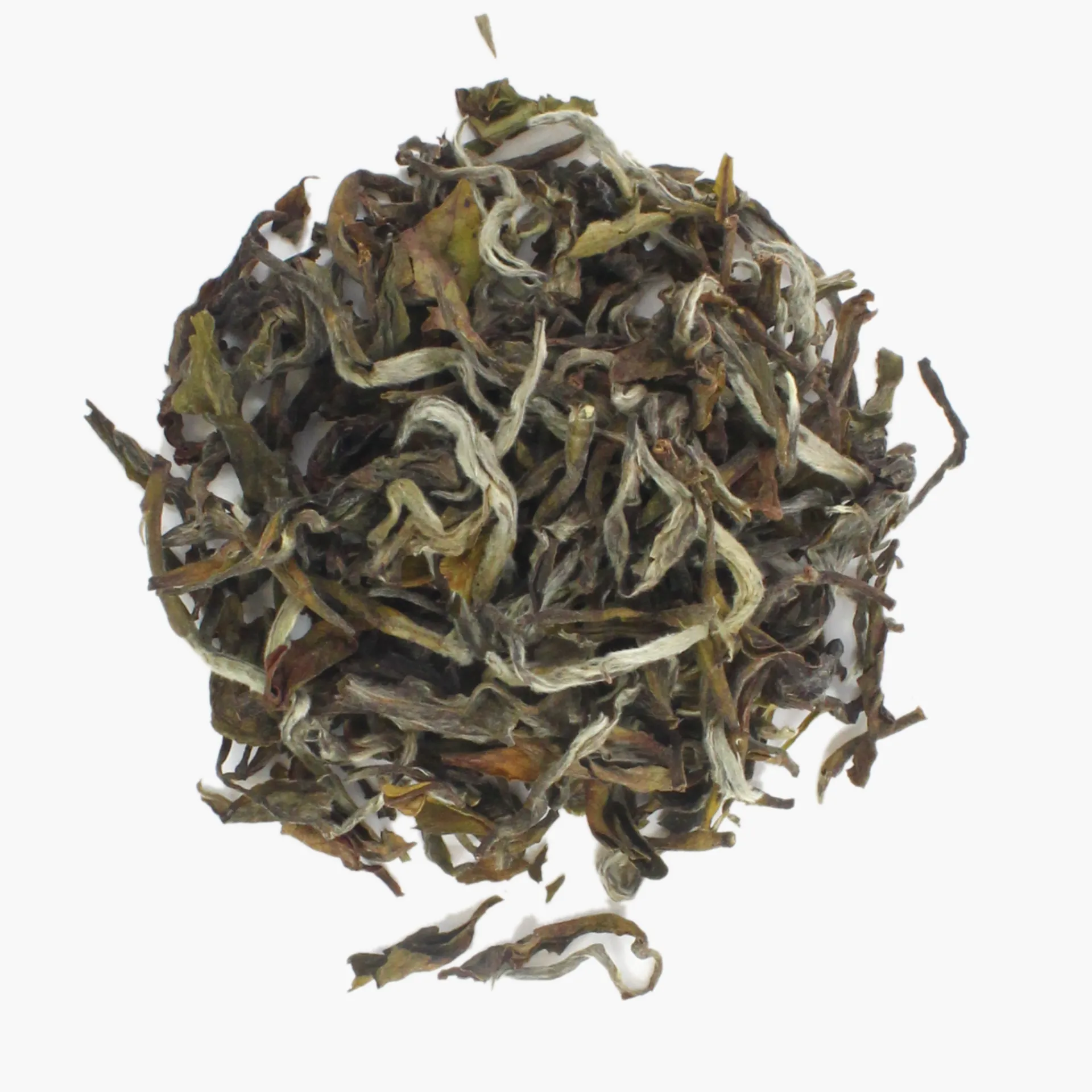 Hamburger Teespeicher Darjeeling White Wonder Okayti Online