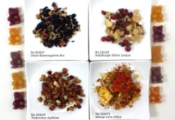 Hamburger Teespeicher Fruit tut gut - Set / koffeinfrei Hot