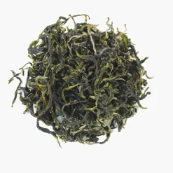 Hamburger Teespeicher Green Beauty - 2025 Sale