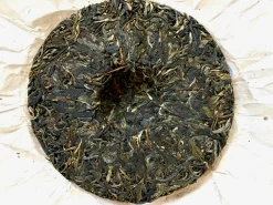 Hamburger Teespeicher Gushu Gua Feng Zhai New