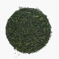 Hamburger Teespeicher Kiwami Osumi - Gyokuro, Bio Discount
