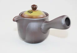 Hamburger Teespeicher Kyusu Mirai Hira Ami, ca. 350 ml Clearance