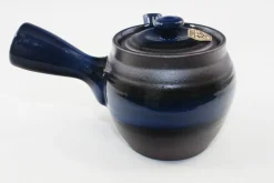 Hamburger Teespeicher Kyusu Obi Fuki, ca. 350 ml Best