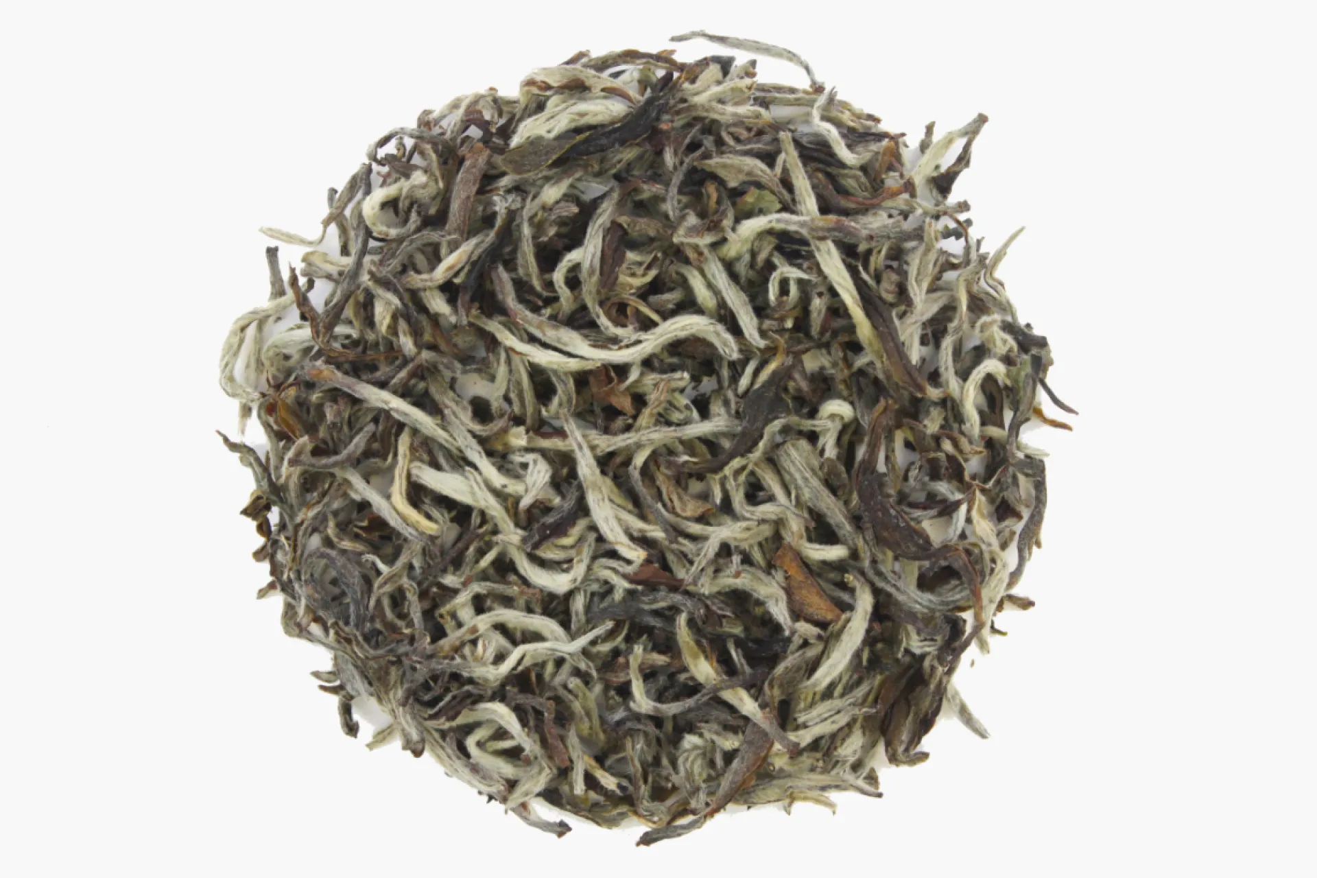Hamburger Teespeicher Shangri - La White, Bio Online