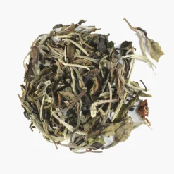 Hamburger Teespeicher White Peony, Bio Hot