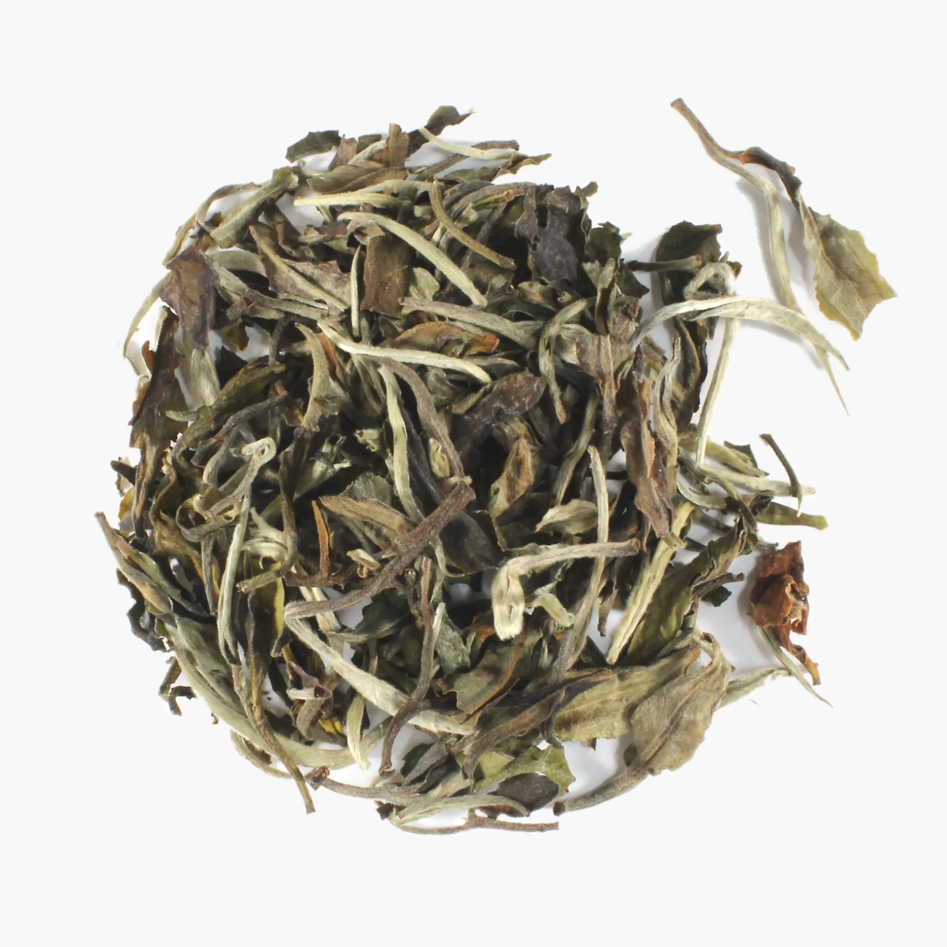 Hamburger Teespeicher White Peony, Bio Hot